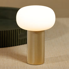 Load image into Gallery viewer, Rechargeable table lamp with a frosted oval shade and textured gold-finish cylindrical base, illuminated against a neutral background and surface with a round black object on the side.