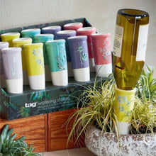Load image into Gallery viewer, A set of colorful watering stakes in a box on top of a wooden box. Stakes are designed to be used with empty wine bottles to hydrate plants. A green wine bottle in a yellow watering stake inside a ceramic pot holding a plant. Green succulent in lower left corner . Against a white background.
