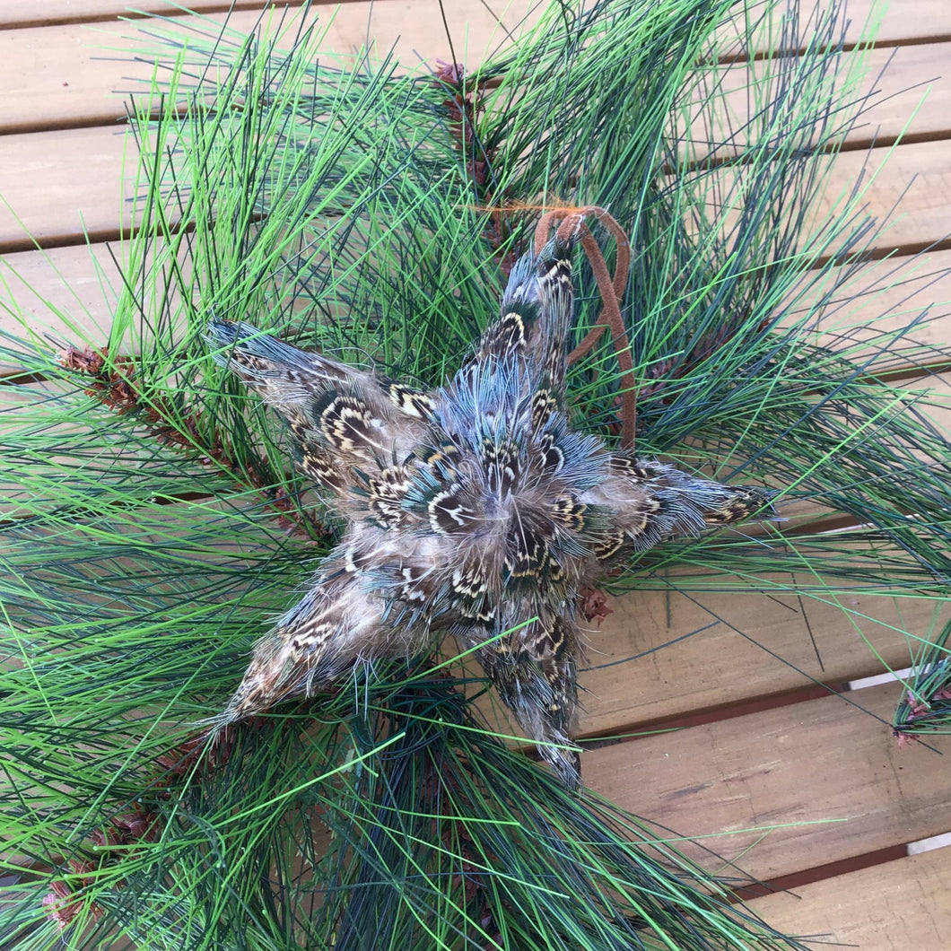 Feather Star Ornaments | 4 Styles