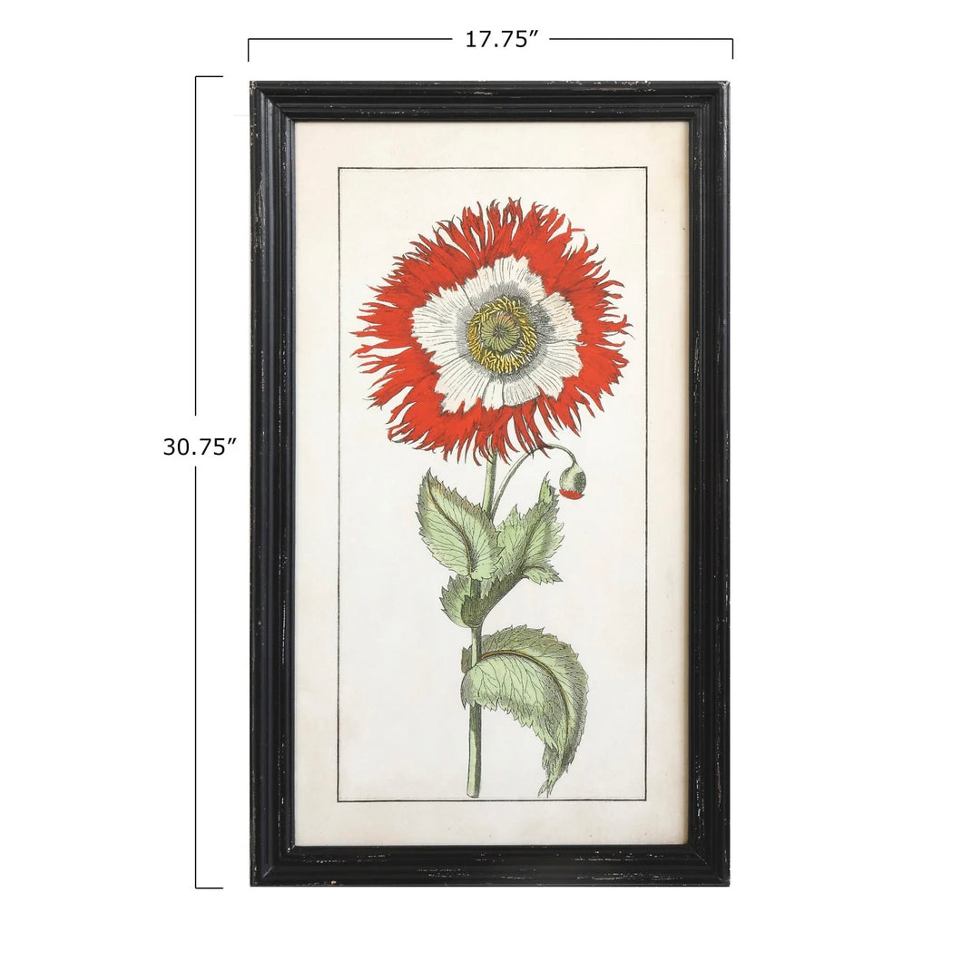 Framed botanical illustration of a red flower with dimensions 30.75