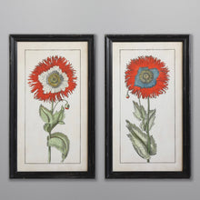 Load image into Gallery viewer, Two framed pictures of red flowers on a gray background.