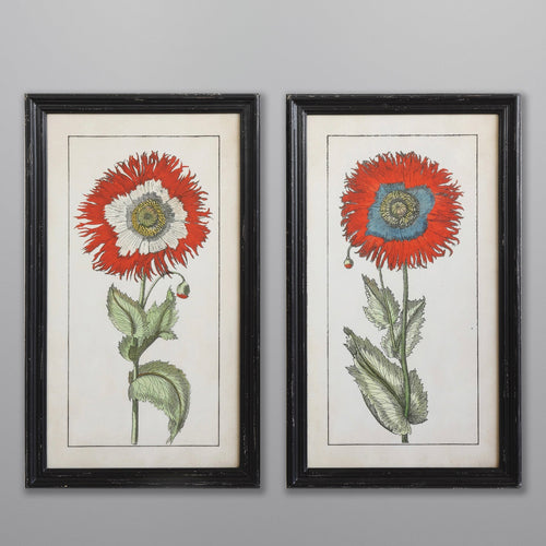 Two framed pictures of red flowers on a gray background.
