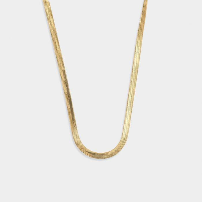 Ciana Chain Necklace