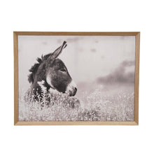 Load image into Gallery viewer, Framed artwork of a donkey in a field with a wooden frame, hanging on white wall.