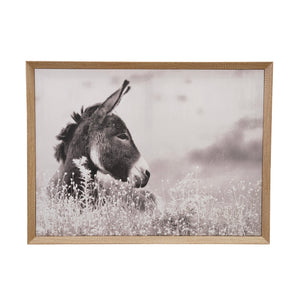Framed Canvas Donkey Photography available at Bench Home