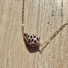 Load image into Gallery viewer, Spotted Cone Shell Necklace