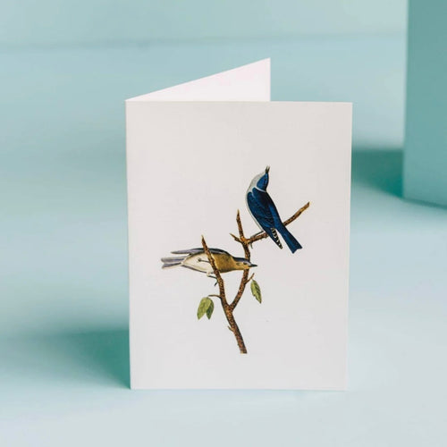Blue Birds Greeting Card