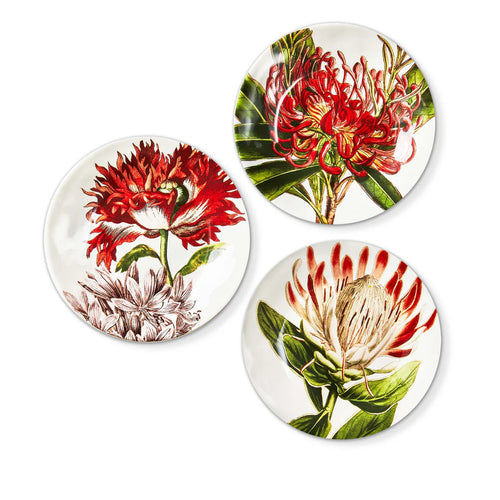 In the Garden Appetizer Plate | 3 Styles