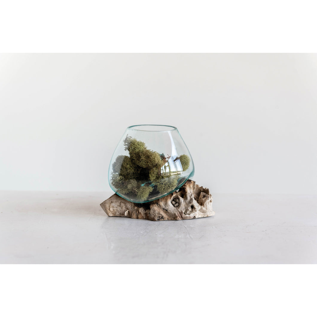 A round glass planter with a wood base, containing moss, placed on a neutral background.