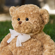 Load image into Gallery viewer, The Big Boy Anton Bear Plushie