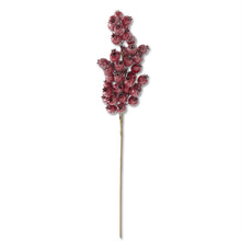 Load image into Gallery viewer, Glittered a red Rosehip Stem
