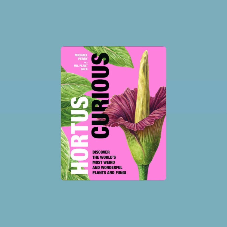 Book cover of Hortus Curious by Michael Perry aka Mr. Plant Geek featuring a large purple and green exotic flower against a bright pink background with green leaves and bold white and black lettering. Book displayed against a light blue background.   