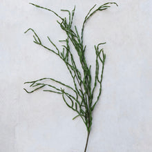 Load image into Gallery viewer, Artificial cactus spring on a white textured background.