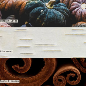 Midnight Pumpkin Crackle Glass Boxed Candle available at Bench Home
