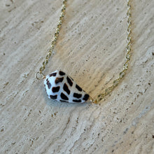 Load image into Gallery viewer, Spotted Cone Shell Necklace
