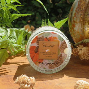 Harvest Soy Candle available at Bench Home