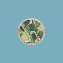 Load image into Gallery viewer, Enamel Mango Wood Dish | Eight Styles