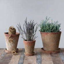 Load image into Gallery viewer, Three distressed brown cement planters  of various sizes with matching saucers. A succulent in the largest planter. A ball of twine in the medium planter , and lavender in the smallest. All sitting on a wooden floor with a white background wall.
