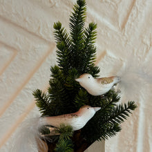 Load image into Gallery viewer, Top portion of a small fir tree with two glass clip-on bird decorations. Birds are white and pink with gold glitter .White feather tail, and clip-on on the bottom of the bird. Against a white textured background. 