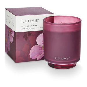 Oleander Oak Jar Candle available at Bench Home