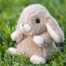 Load image into Gallery viewer, Brown and white plush toy rabbit sitting on grass