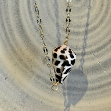 Load image into Gallery viewer, Spotted Cone Shell Necklace