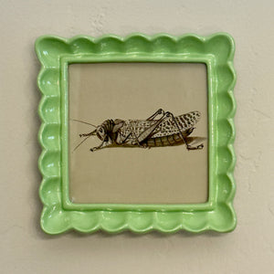 Resin Ruffled Photo Frame | 5 Styles available at Bench Home