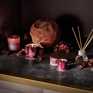 Oleader Oak Diffuser available at Bench Home