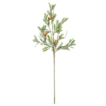 Load image into Gallery viewer, Mistletoe Spray