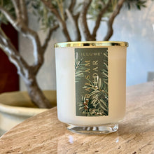 Load image into Gallery viewer, Balsam &amp; Cedar Signature Glass Candle