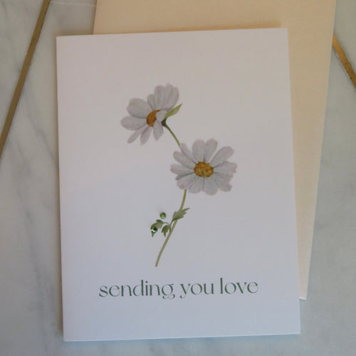 Greeting card with daisies  illustration and 