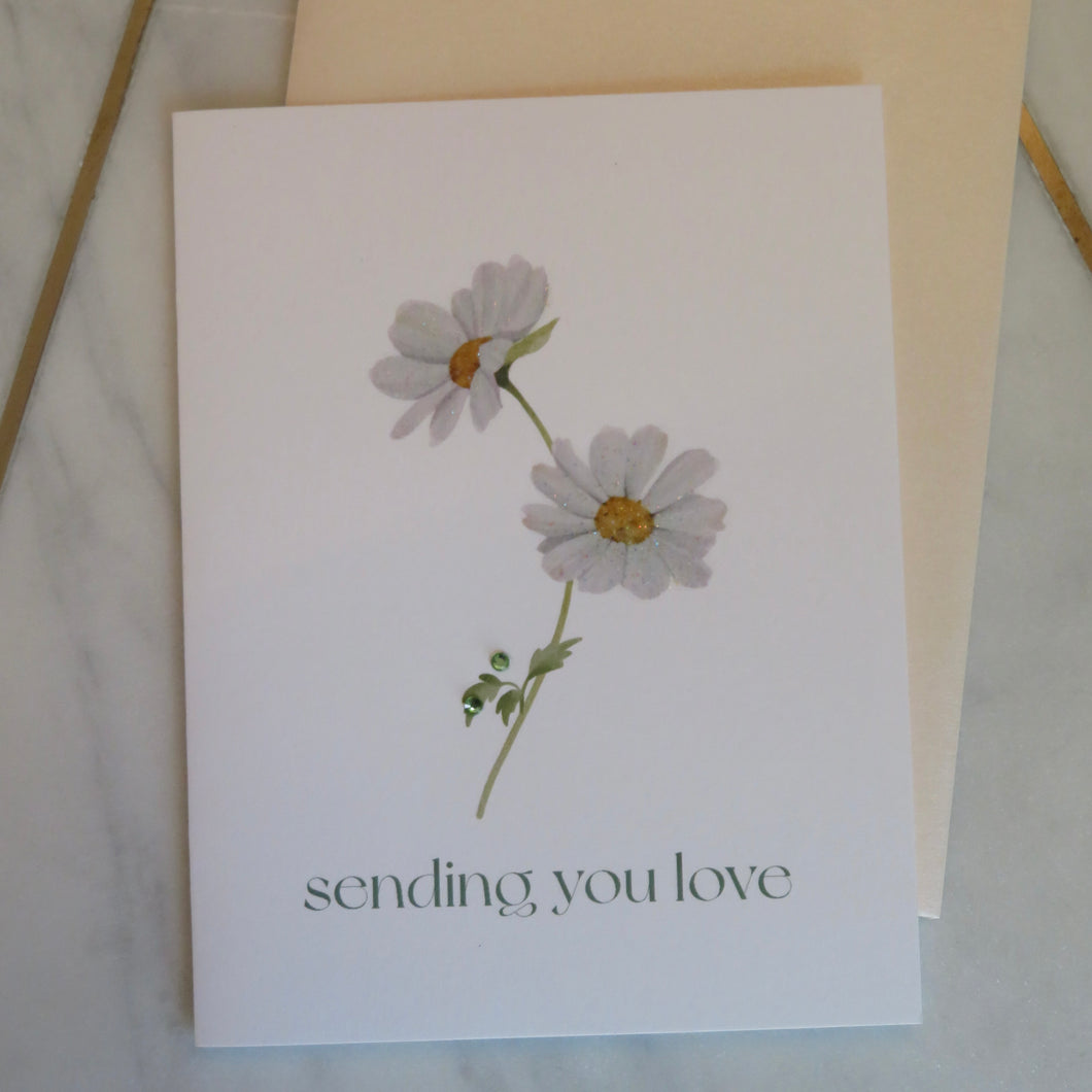 Greeting card with daisies  illustration and 
