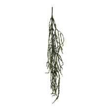 Load image into Gallery viewer, Artificial cactus spring on a white background.