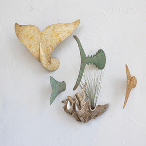 Decorative Resin Clamshell Wall Container available at Bench Home