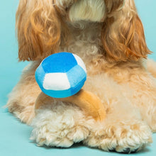 Load image into Gallery viewer, Close-up of a fluffy dog lying on a light blue background with its front paws visible, resting a plush ring-shaped dog toy with a tan band and a blue faceted diamond top between its paws. 