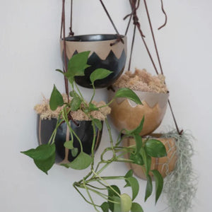 Hanging Pot with Leather | 4 Styles available at Bench Home