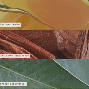 Santal Birch Diffuser available at Bench Home