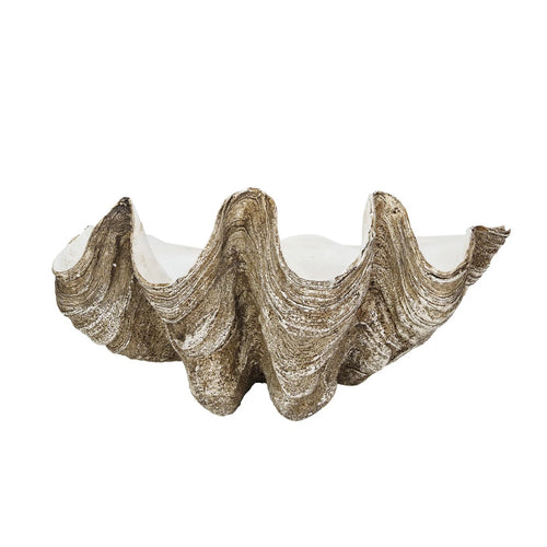 Decorative clam shell with a textured surface on a white background.