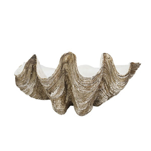 Decorative Resin Clamshell Wall Container available at Bench Home