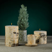 Load image into Gallery viewer, Assorted lit birch-wrapped candles displayed beside an evergreen in a silver antique-style planter, arranged on a gray surface agaInst a hunter green background. 