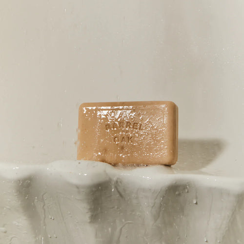 Tan bar of soap drenched in water on a porcelain platform. Barrel oak is carved into the side. White background. 