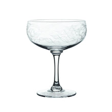 Load image into Gallery viewer, Coupe glass with leaf etchings. White background. 