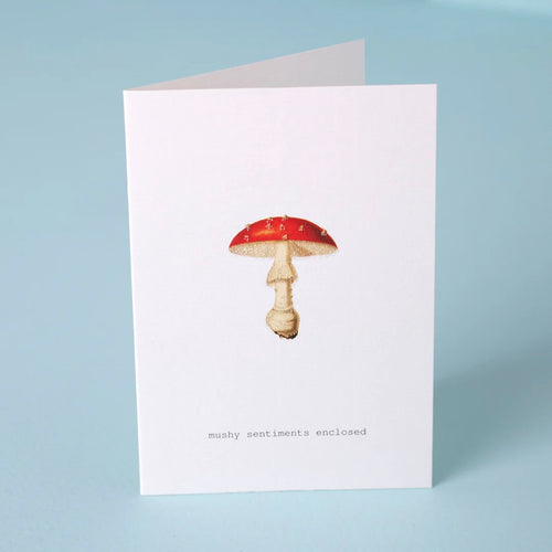 Mushy Sentiments Enclosed