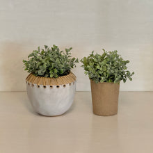 Load image into Gallery viewer, Faux Herb Plant | Five Styles
