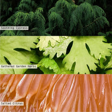 Load image into Gallery viewer, Illume Reed Diffuser | Three Styles