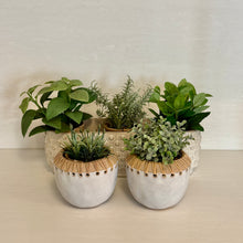Load image into Gallery viewer, Faux Herb Plant | Five Styles