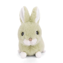 Load image into Gallery viewer, Baby bunny plush in lime with soft coat, crouching position, upright ears with white interiors, white muzzle and feet, tan stitched nose, and dark bead eyes, displayed on a white background. 