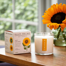 Load image into Gallery viewer, Sunflower Plant The Box Candle