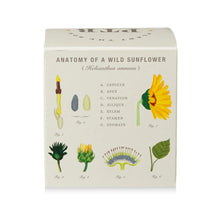 Load image into Gallery viewer, Sunflower Plant The Box Candle