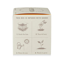 Load image into Gallery viewer, Sunflower Plant The Box Candle